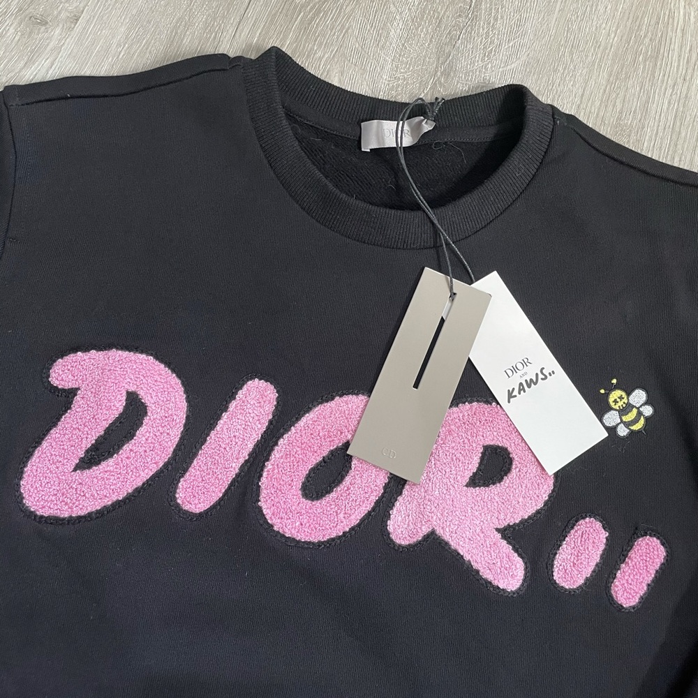 Dior x Kaws Sweater